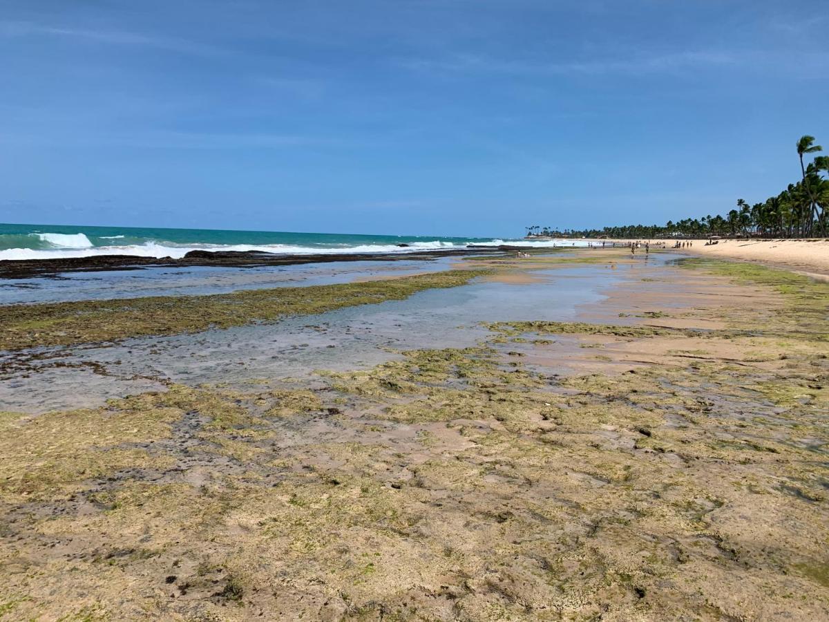 Flat Beach Class Muro Alto Porto de Galinhas Bagian luar foto